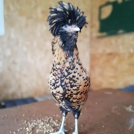 Gite Les Anes De Medeina Ingrannes Exterior foto